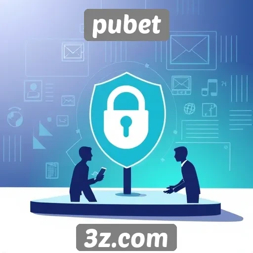 Investigações sobre segurança e privacidade no pubet