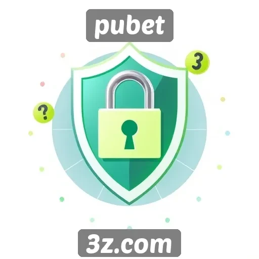 Análise da segurança no site de jogos pubet