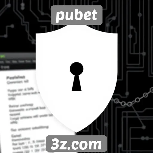 Análise de segurança do site pubet