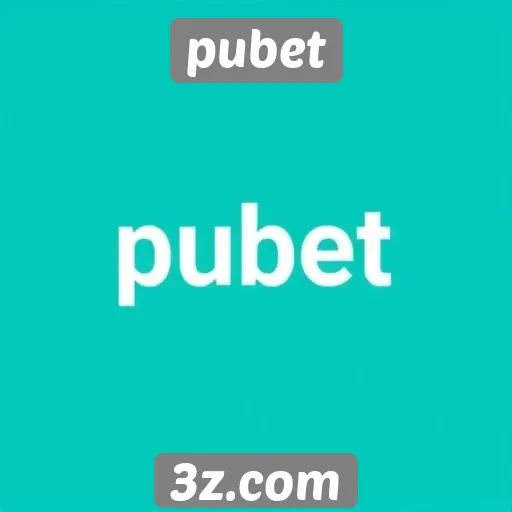 Análise da experiência do usuário no site pubet